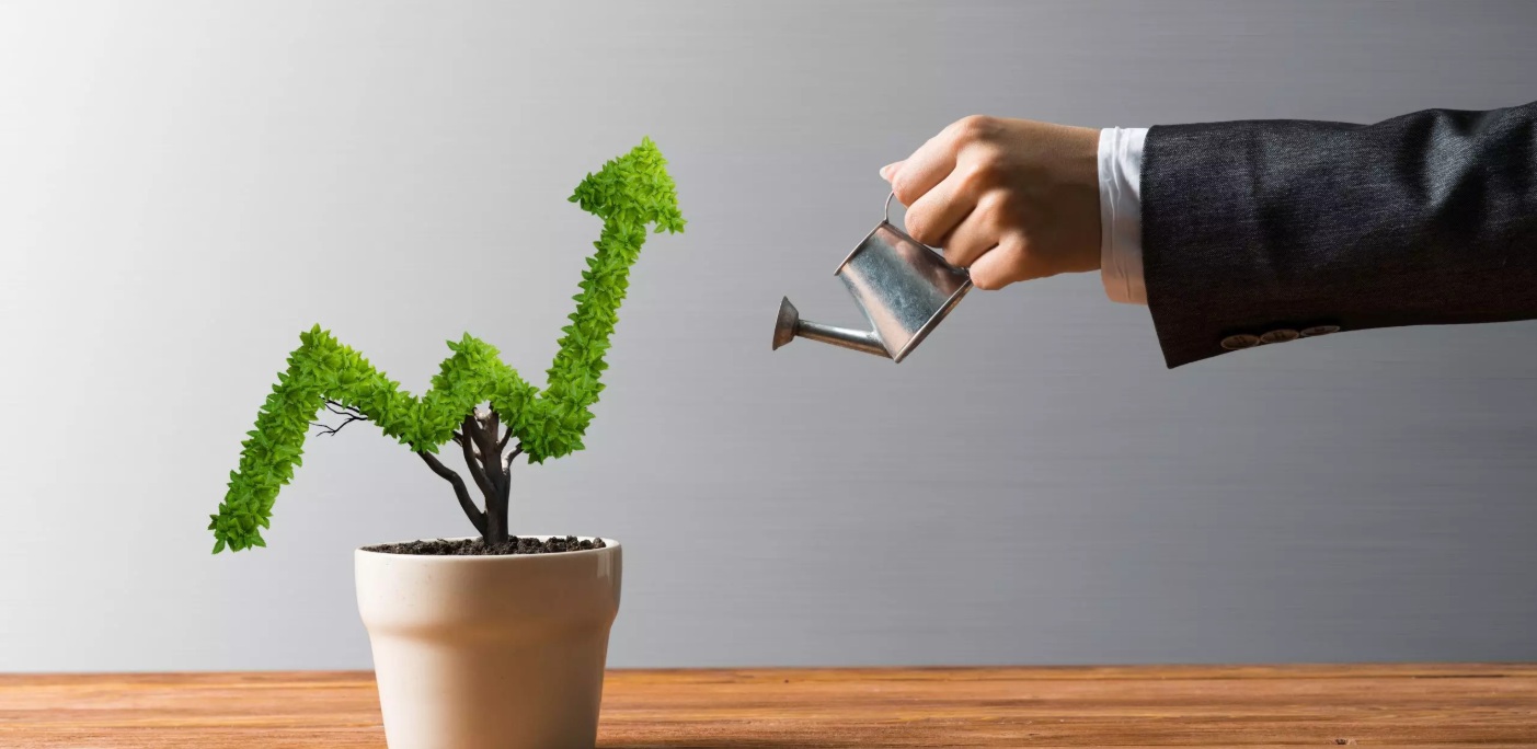 تصویر فانتزی از رشد گیاه به شکل نمودار 